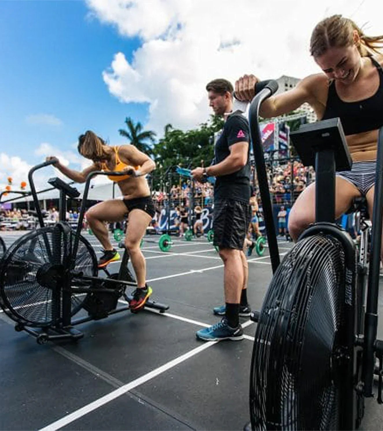 Assault Air Bike Classic - Image 10