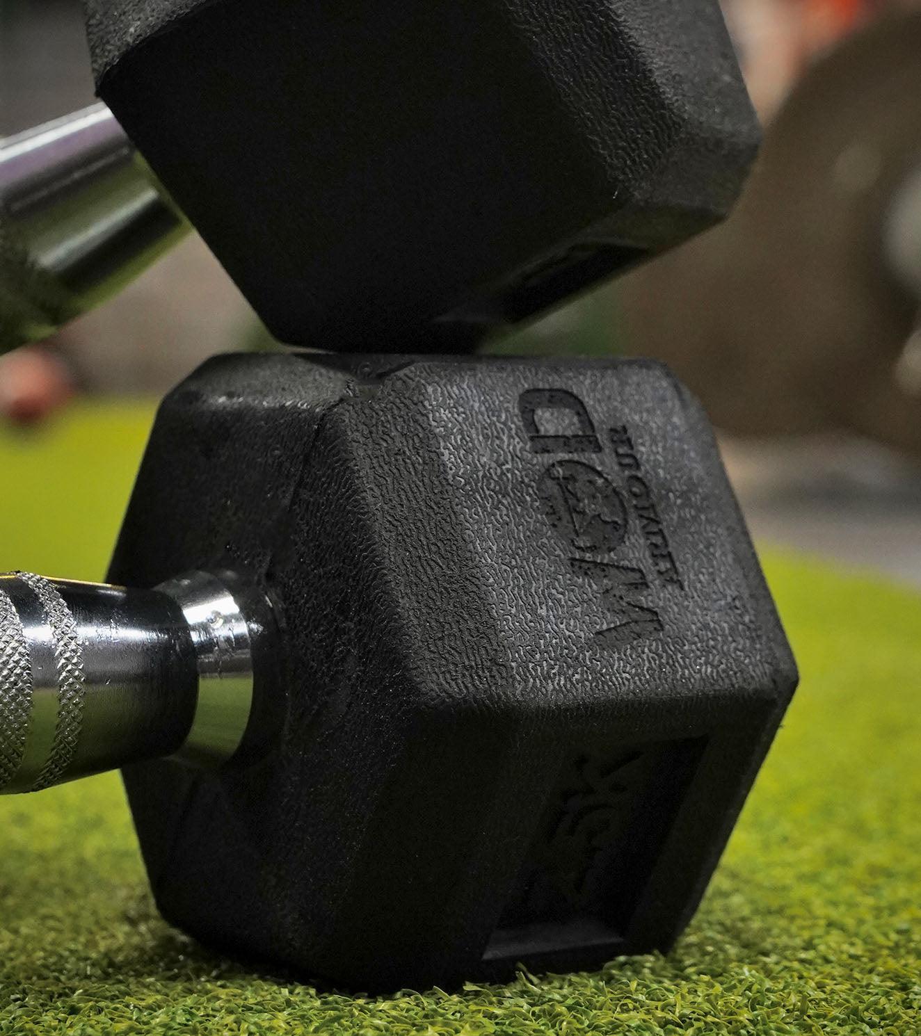 Hexa Dumbells - Image 8